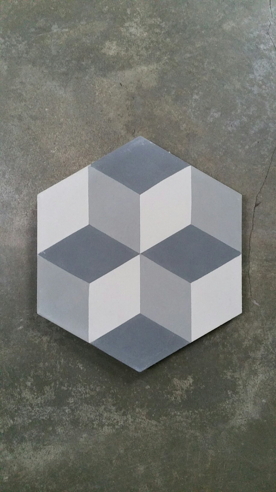 Zeshoekige Portugese tegels met Escher motief