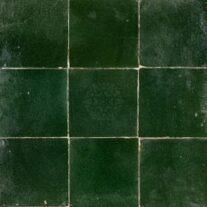 Vert SAPIN