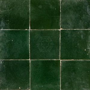 VERT SAPIN zellige tegel 10x10 cm 9 stuks
