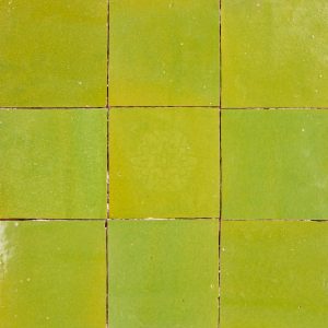 VERT PRINTEMPS zellige tegel 10x10 cm 9 stuks