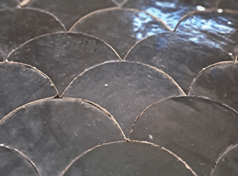 echelles zelliges visschub zwart