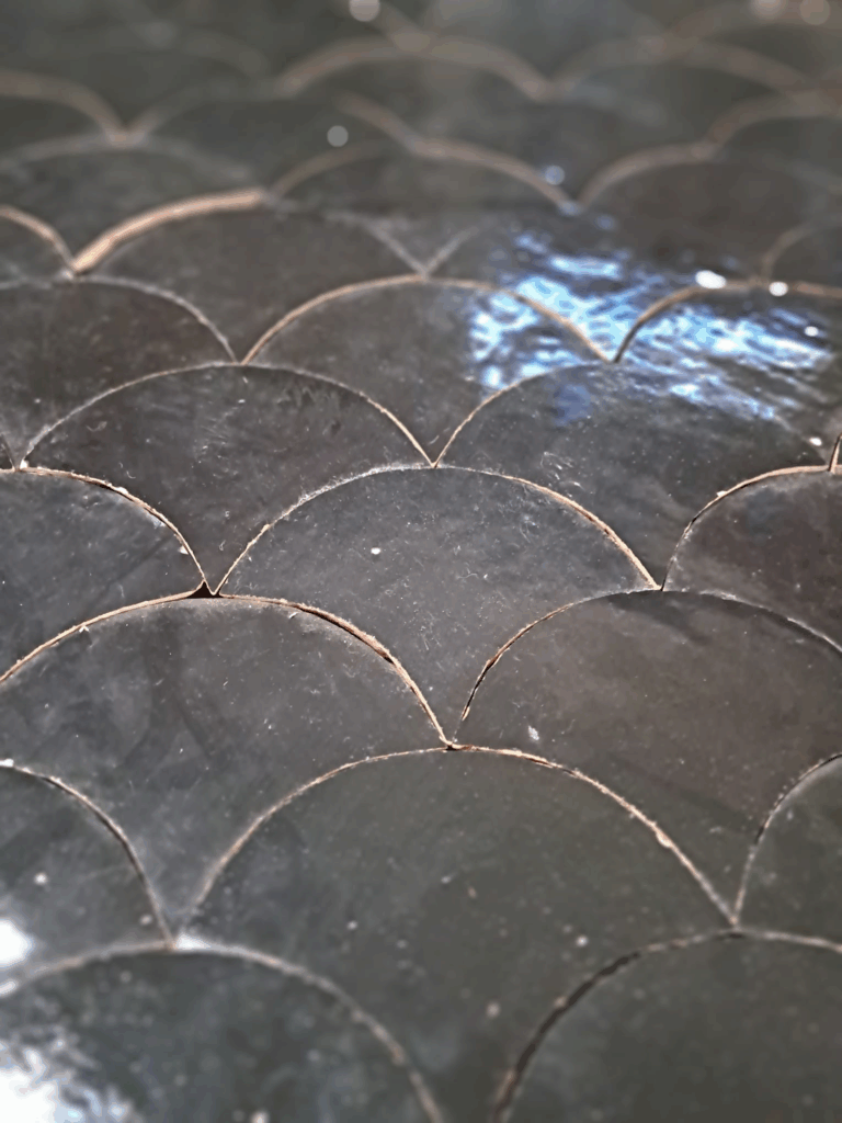 echelles zelliges visschub zwart