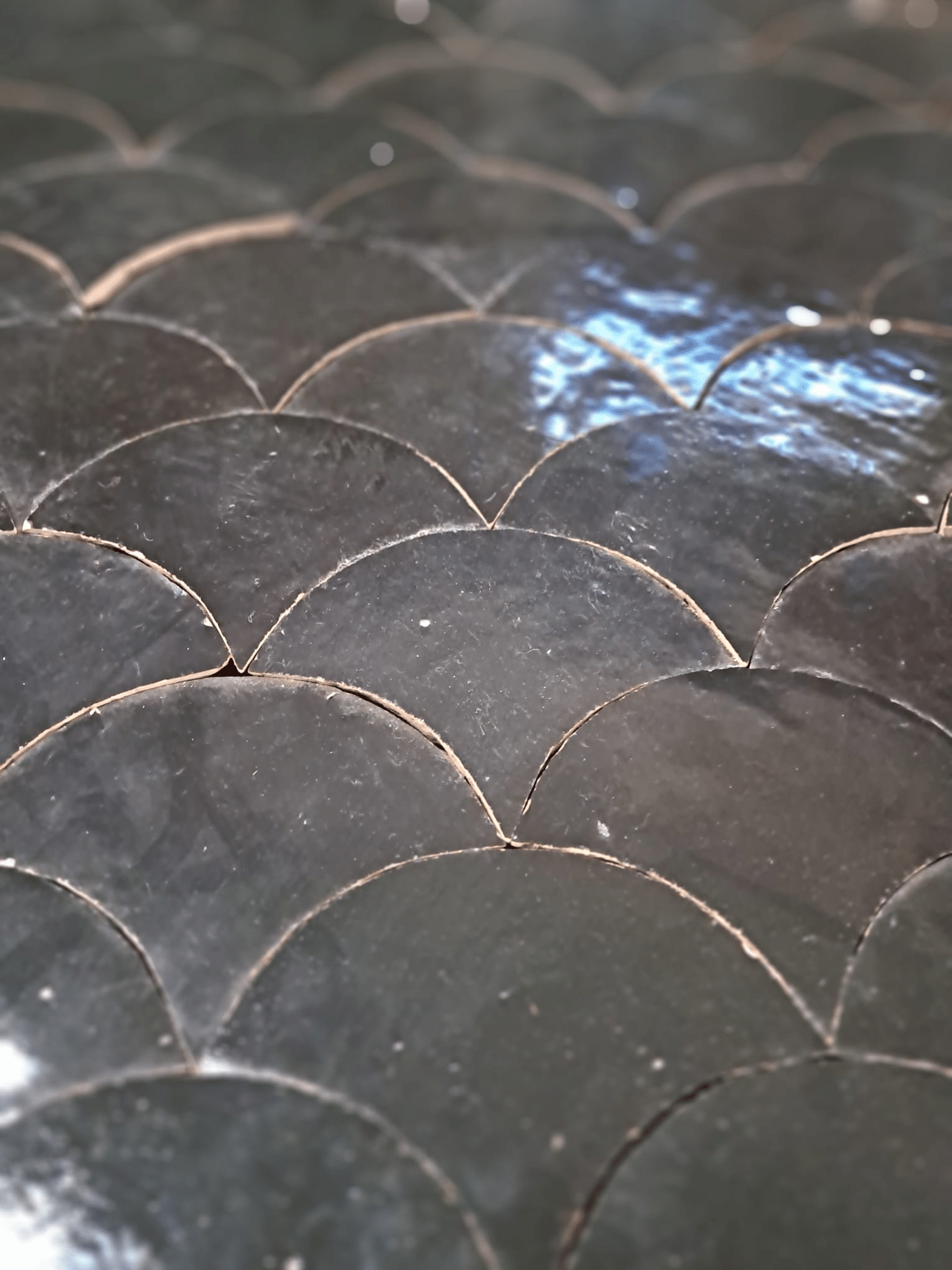 echelles zelliges visschub zwart