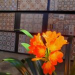 showroom met vintage tegels FLOORZ A