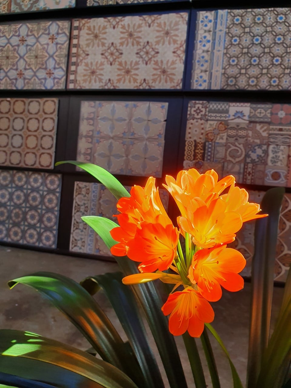 showroom met vintage tegels FLOORZ A